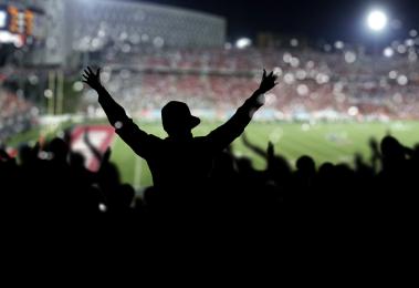  Downloaded Crowd on the stadium